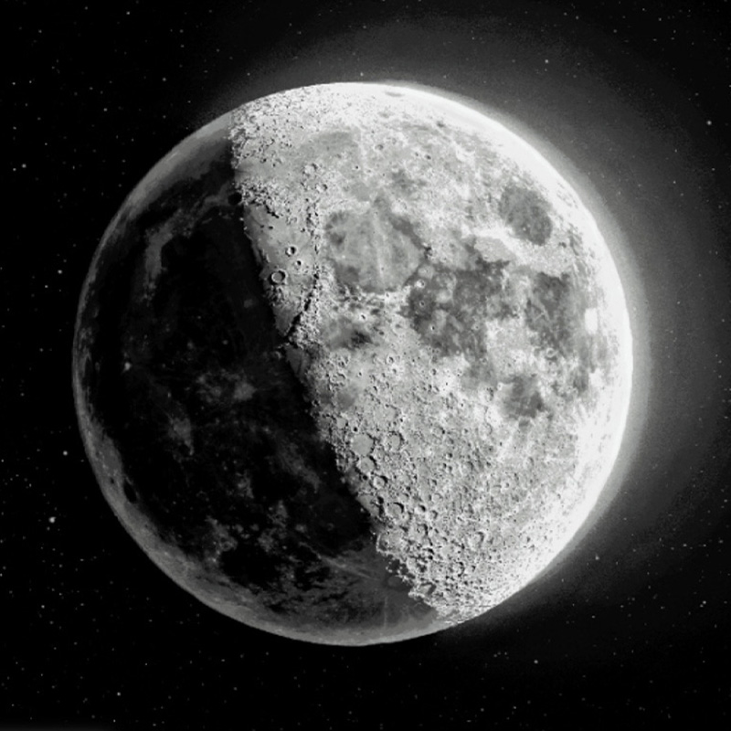 夜冥子-明月